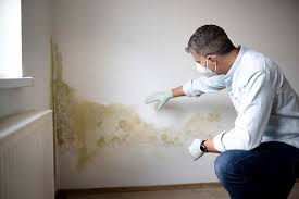 Best Mold Removal for HVAC Installations  in Selden, NY